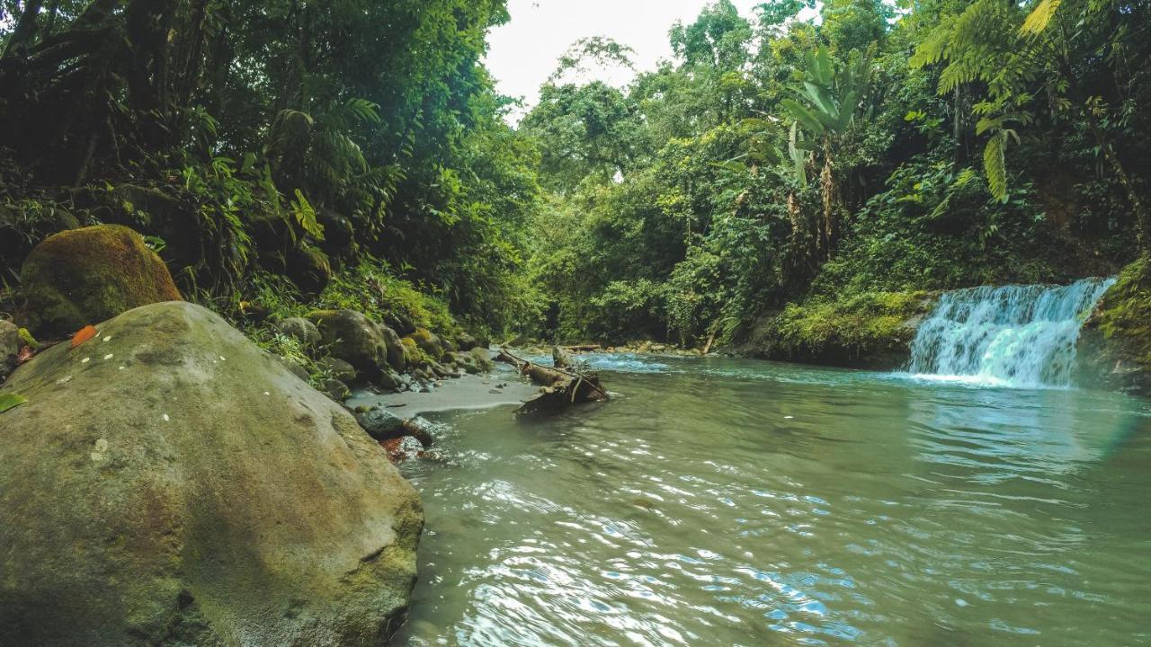 Upala Oski Lodge, Rain Forest Rincon De La Vieja מראה חיצוני תמונה