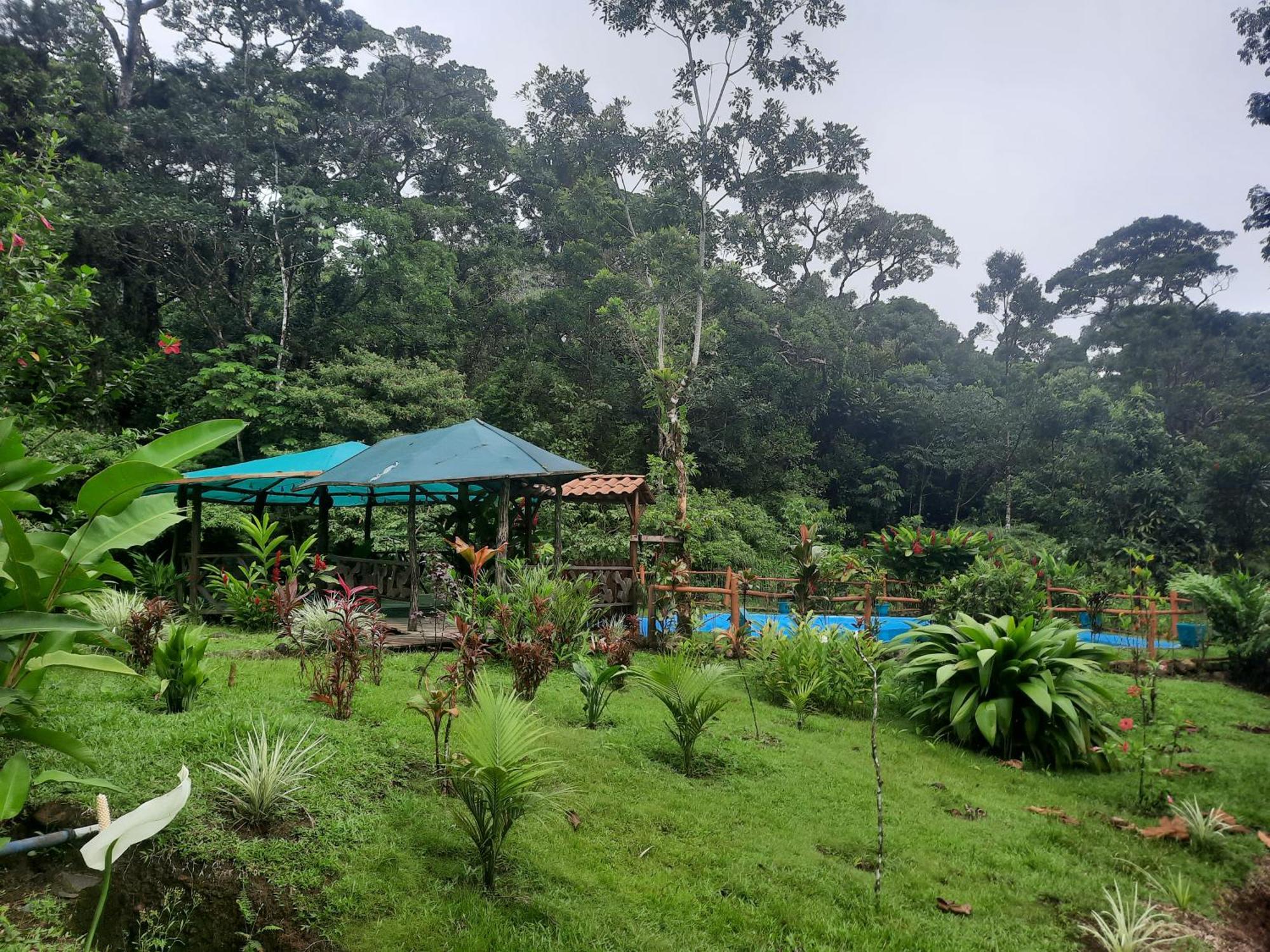 Upala Oski Lodge, Rain Forest Rincon De La Vieja מראה חיצוני תמונה