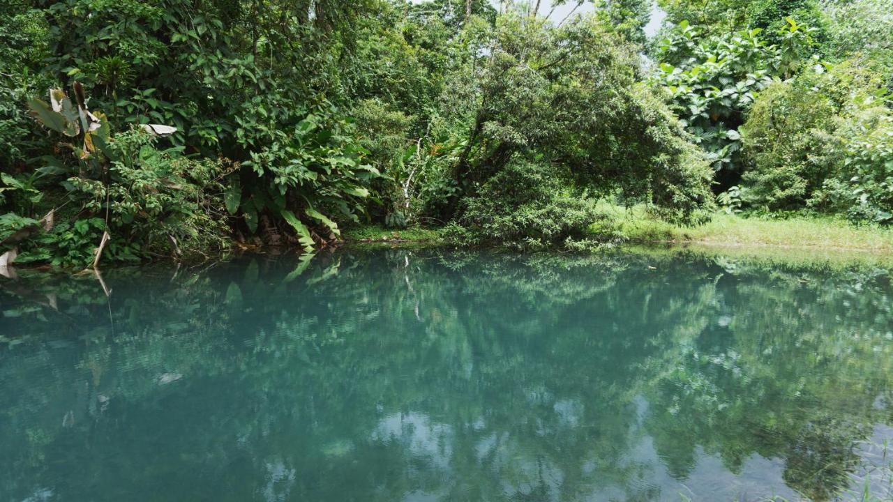 Upala Oski Lodge, Rain Forest Rincon De La Vieja מראה חיצוני תמונה